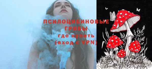 гидропоника Ладушкин