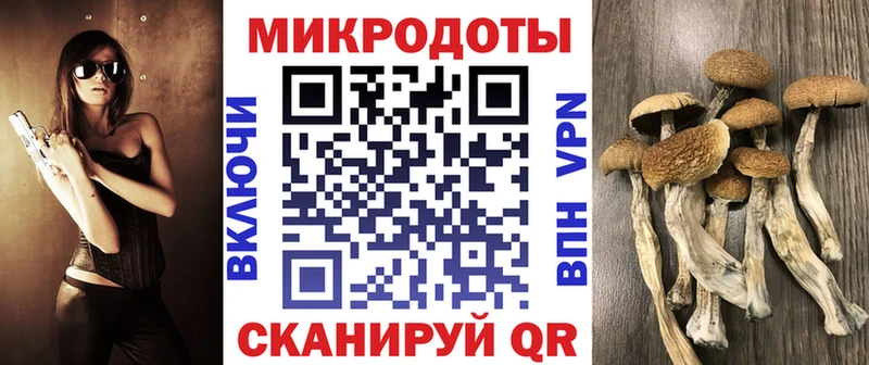 цены Осинники Псилоцибиновые грибы Magic Shrooms