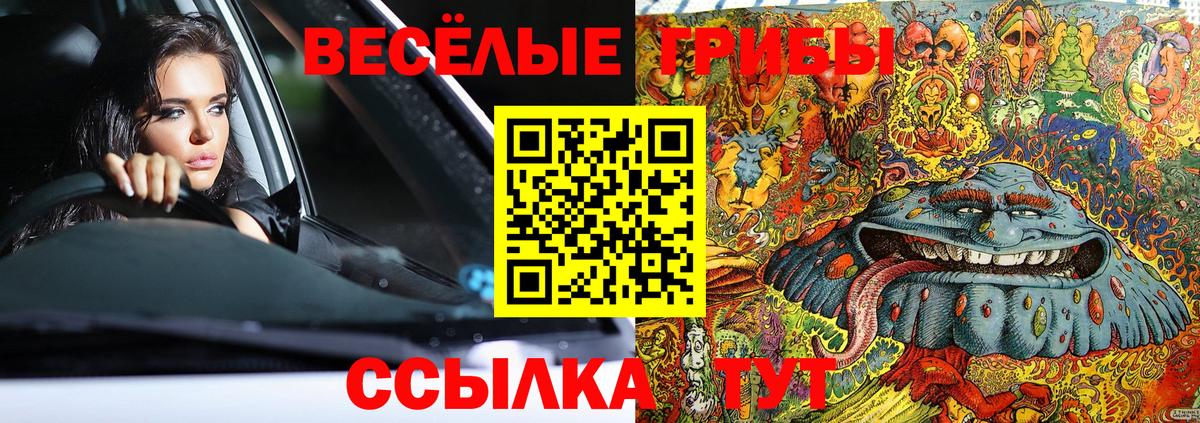 Псилоцибиновые грибы ЛСД  Псилоцибиновые грибы Cubensis  Вход с VPN  где купить наркоту  Осинники 