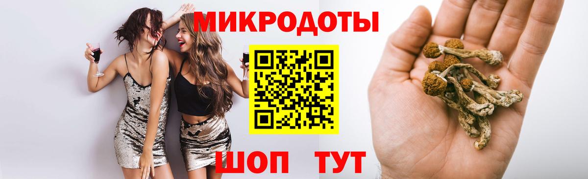 Галлюциногенные грибы мицелий Осинники