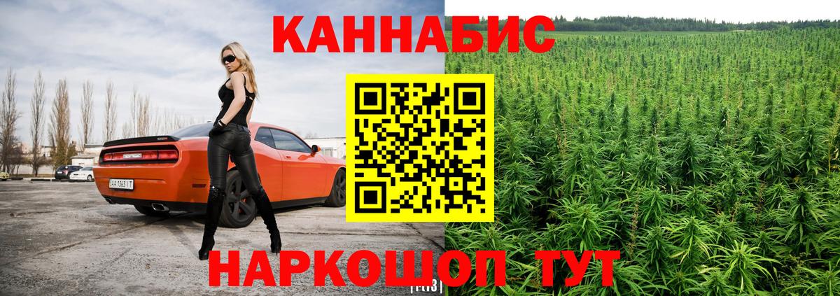 Каннабис SATIVA & INDICA Осинники